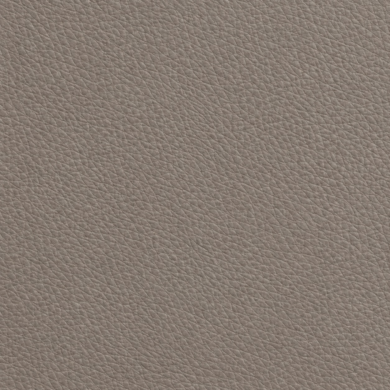 Leather texture available for album pages and covers